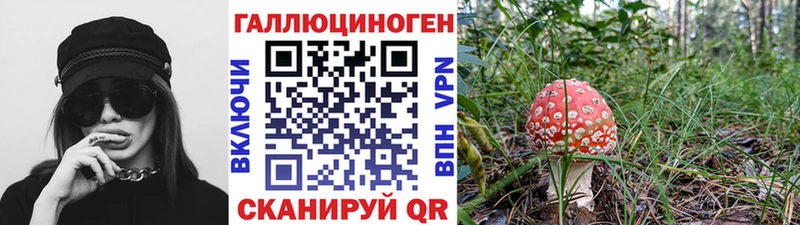 Псилоцибиновые грибы GOLDEN TEACHER mega как зайти Юрьев-Польский